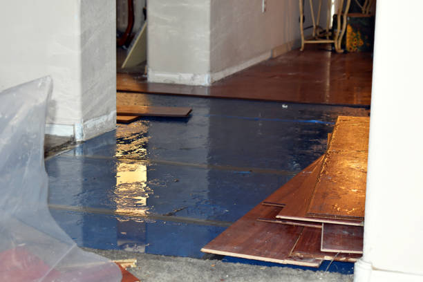 Professional Sewage Cleanup technician working in Tipton, MI